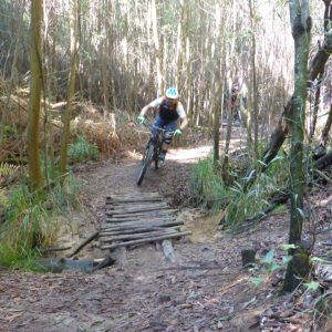 2016_11_sintra_bild_2-3