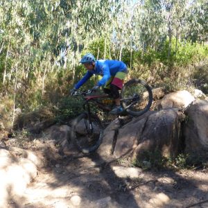 2016_11_sintra_bild_3-2