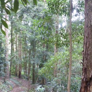 2016_11_sintra_bild_5-3