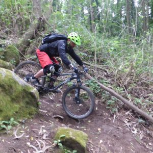 2016_11_sintra_bild_5-4