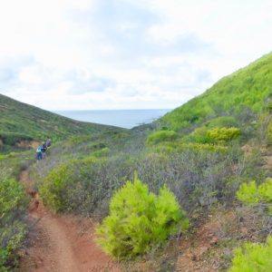 2016_11_sintra_bild_6-2