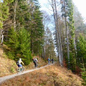 2016_11_hirschberg_bild_1