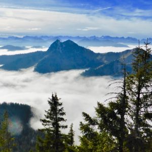 2016_11_hirschberg_bild_4