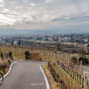 2017_02_bozen_bild_1.3 2017_02_bozen_bild_1.3