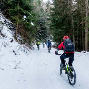 2017_02_bozen_bild_2.1 2017_02_bozen_bild_2.1