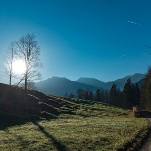 2017_04_ziegelspitz_bild_1 2017_04_ziegelspitz_bild_1