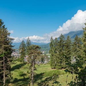 2017_05_Fricken_bild_1 2017_05_Fricken_bild_1