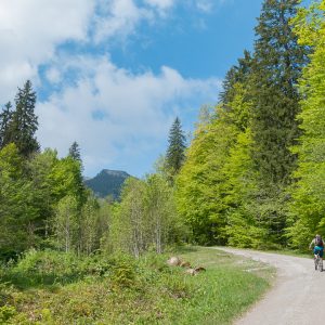 2017_05_hirschberg_bild_1 2017_05_hirschberg_bild_1