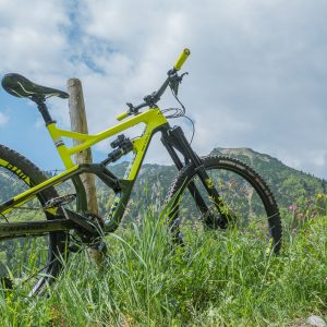 2017_05_hirschberg_bild_2 2017_05_hirschberg_bild_2