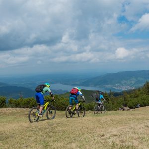 2017_05_hirschberg_bild_4 2017_05_hirschberg_bild_4