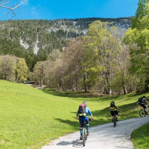 2017_05_stans_bild_2 2017_05_stans_bild_2