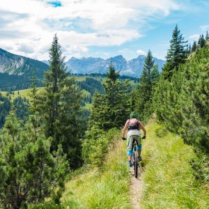 2017_07_reitsteig_bild_4 2017_07_reitsteig_bild_4