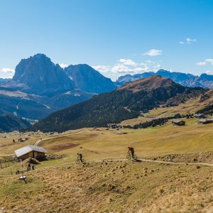 2017_10_aldein_bild_1.2 2017_10_aldein_bild_1.2