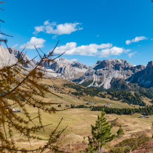 2017_10_aldein_bild_1.3 2017_10_aldein_bild_1.3