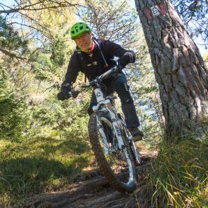 2017_10_aldein_bild_1.5 2017_10_aldein_bild_1.5