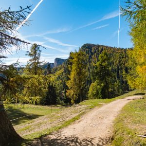 2017_10_aldein_bild_2.2 2017_10_aldein_bild_2.2