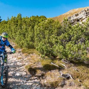 2017_10_aldein_bild_2.6 2017_10_aldein_bild_2.6