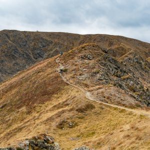 2017_10_aldein_bild_3.4 2017_10_aldein_bild_3.4