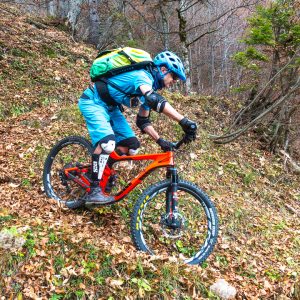 2017_10_hirschberg__bild_6 2017_10_hirschberg__bild_6