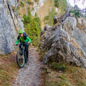 2017_11_koenigsstand_bild_2 2017_11_koenigsstand_bild_2