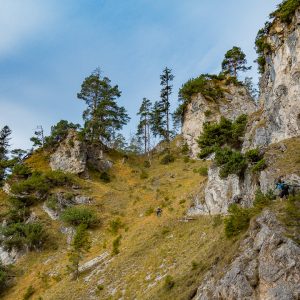 2017_11_kreuzweg_bild_3 2017_11_kreuzweg_bild_3