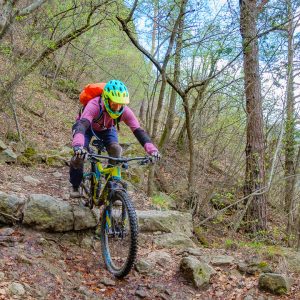 2018_04_bozen_bild_1_6 2018_04_bozen_bild_1_6