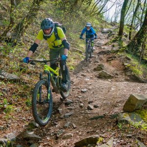 2018_04_bozen_bild_2_6 2018_04_bozen_bild_2_6