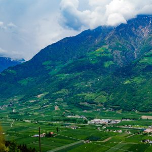 2018_05_bamboo_bild_1_5 2018_05_bamboo_bild_1_5