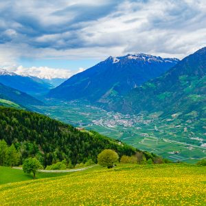 2018_05_bamboo_bild_3_1 2018_05_bamboo_bild_3_1