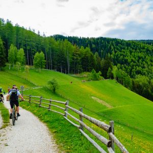 2018_05_bamboo_bild_3_2 2018_05_bamboo_bild_3_2