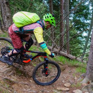 2018_05_bamboo_bild_3_5 2018_05_bamboo_bild_3_5
