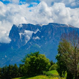 2018_05_bamboo_bild_5_4 2018_05_bamboo_bild_5_4