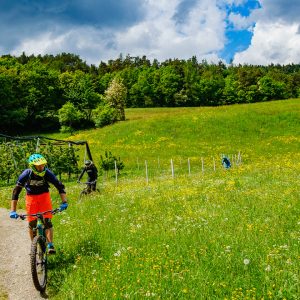 2018_05_bamboo_bild_5_5 2018_05_bamboo_bild_5_5