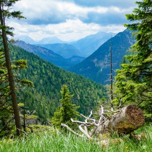 2018_06_kienjoch_bild_6 2018_06_kienjoch_bild_6