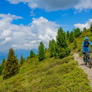 2018_06_rosadira_bild_1.5 2018_06_rosadira_bild_1.5