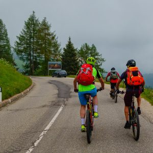 2018_06_rosadira_bild_2.1 2018_06_rosadira_bild_2.1