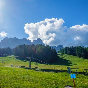 2018_06_rosadira_bild_5.1 2018_06_rosadira_bild_5.1