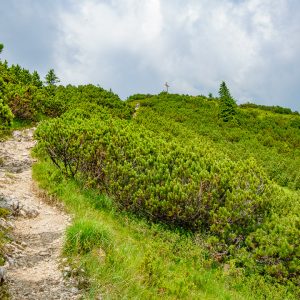 2018_07_ziegelspitz_bild_2 2018_07_ziegelspitz_bild_2