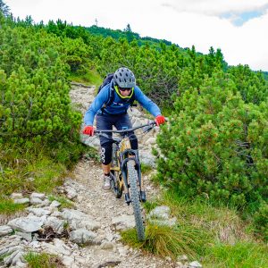 2018_07_ziegelspitz_bild_5 2018_07_ziegelspitz_bild_5