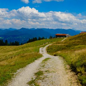 2018_07_zwiesel_bild_1 2018_07_zwiesel_bild_1