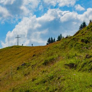 2018_07_zwiesel_bild_5 2018_07_zwiesel_bild_5