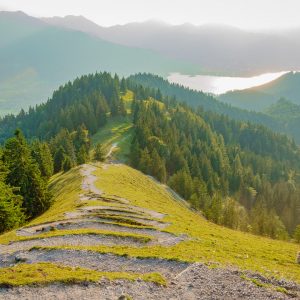 2018_08_baumgarten_bild_2 2018_08_baumgarten_bild_2