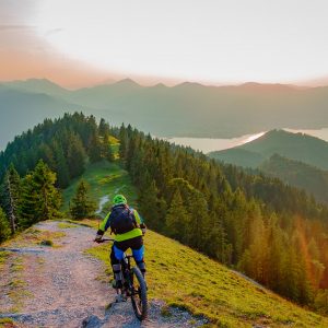 2018_08_baumgarten_bild_4 2018_08_baumgarten_bild_4