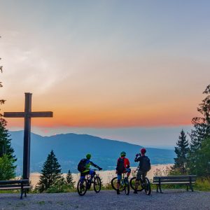 2018_08_baumgarten_bild_5 2018_08_baumgarten_bild_5