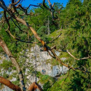 2018_08_biwak_bild_5 2018_08_biwak_bild_5