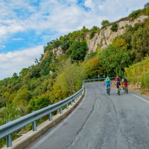 2018_10_finale_bild_2.1 2018_10_finale_bild_2.1