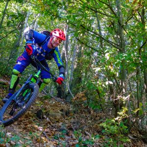 2018_10_finale_bild_3.2 2018_10_finale_bild_3.2