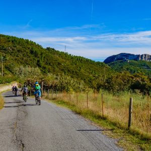 2018_10_finale_bild_3.5 2018_10_finale_bild_3.5