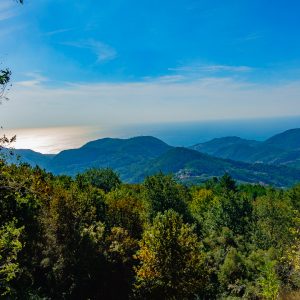 2018_10_finale_bild_6.1 2018_10_finale_bild_6.1