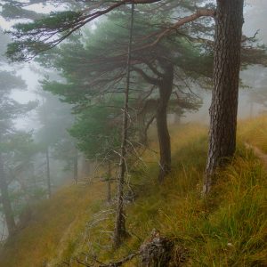 2018_10_osterfeuer_bild_1 2018_10_osterfeuer_bild_1